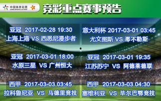 篮球竞猜网受注,实时受注，激情赛事一网打尽