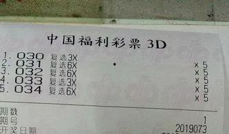 投资计划福彩3d,精准策略助你赢取大奖
