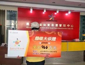 17035体彩开奖结果,惊喜连连，大奖花落谁家？”